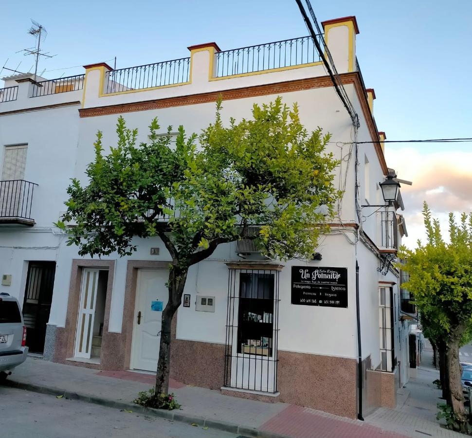 Jacaranda Vila Prado Del Rey Exterior foto